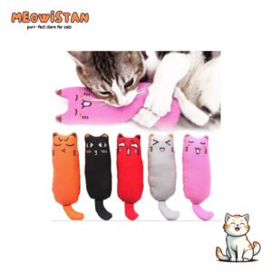 Cat Plush Catnip toy