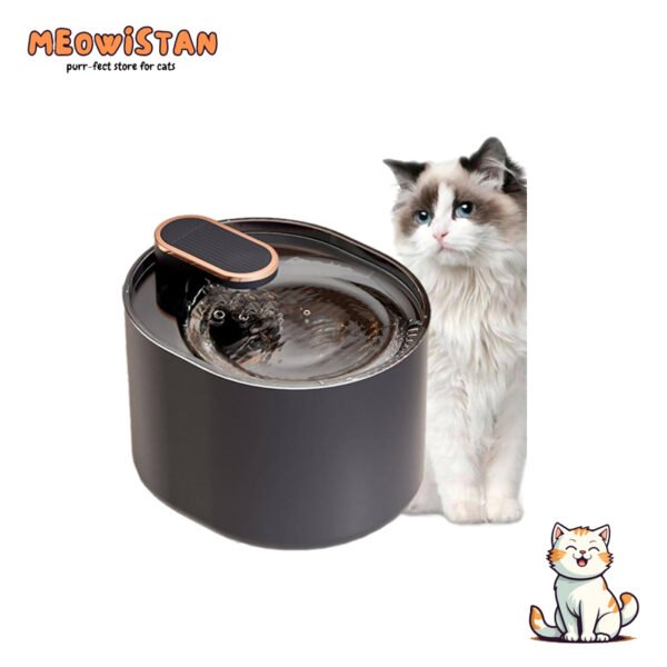 Pet Water Fountain Black