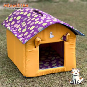 Cartoon Hut House