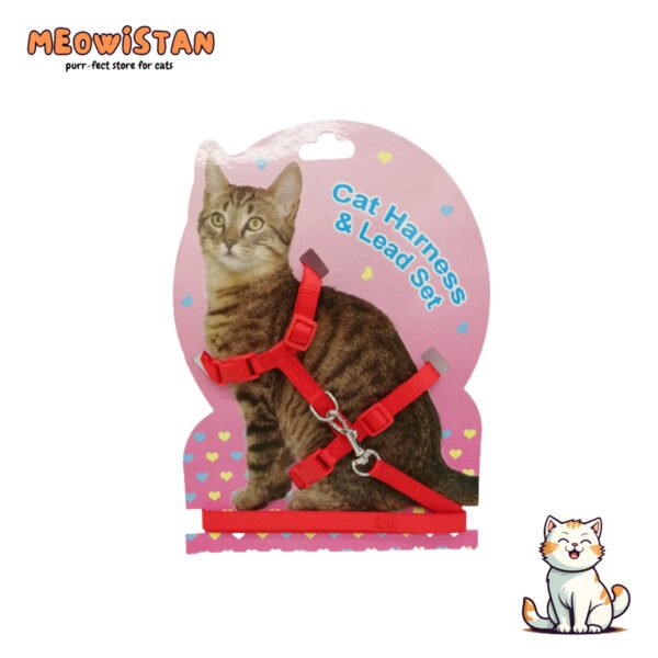 Cat Harness with leash set