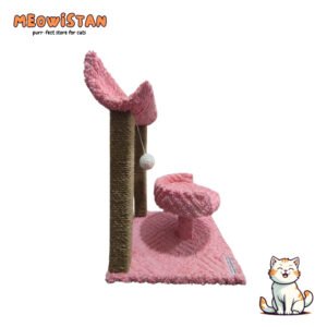 Cat Scratching Curve and Bed