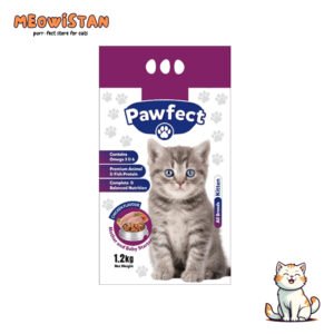Pawfect Kitten