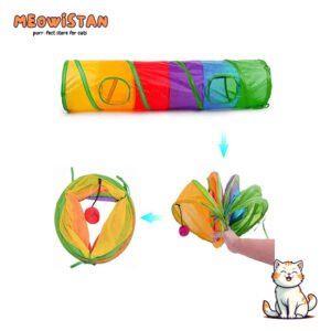 Cat Playing Tunnel with two holes