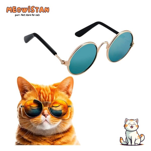 Pet Fashion Glasses